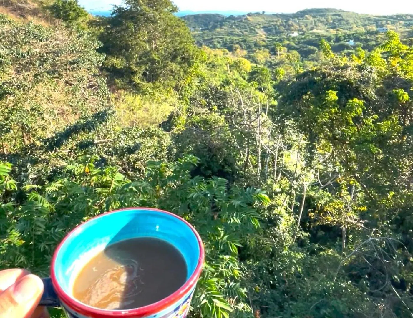 Holiday home Hilltop Escape, Hammocks, Nature & Ocean Views Vieques